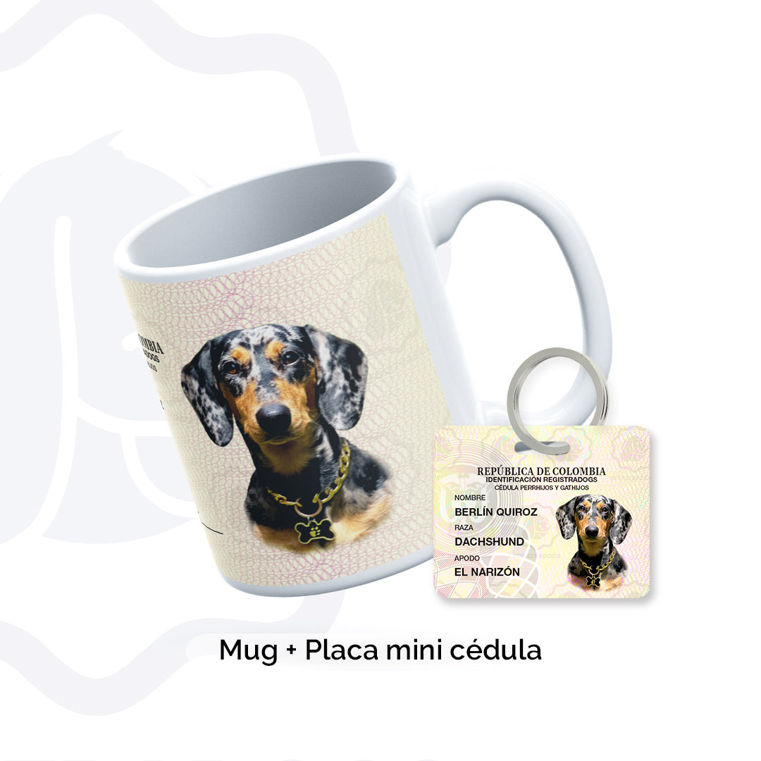 Mug Registradogs + Placa cédula